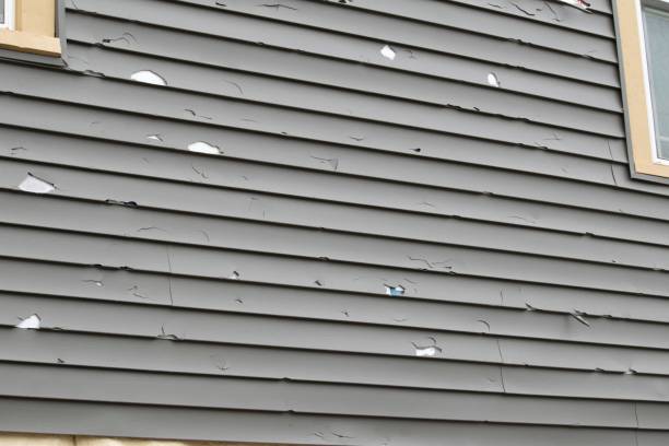 Best Siding for New Construction  in Wood River, IL